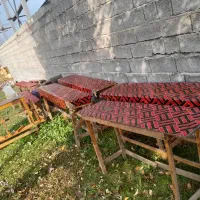 فروش میز و نیمکت با چوب نرادوجنگلی|میز و صندلی غذاخوری|اسالم, |دیوار