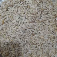 جو درجه یک یک ۶تا آب خرده