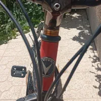 دوچرخه ویوا اصل تایوان|دوچرخه، اسکیت، اسکوتر|داران, |دیوار