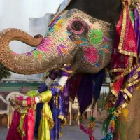 تورهندارمنستان عمان استانبول وان مشهدباکوتایلندچین