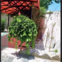فروش ویلا باغ