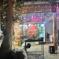 نیرو جوان اقا برای کبابی جیگرکی