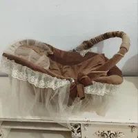 کریر پرنسسی