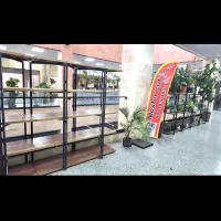 استند چوبی فلزی|گل و گیاه طبیعی|تهران, کوهک|دیوار