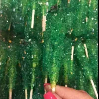 نبات چوبی نبات نی دار مناسب عید غدیر