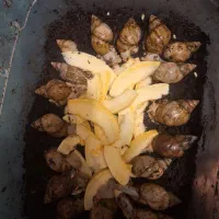 حلزون آماده تخم