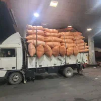 استلزام کارگر جهت کیسه گیری و بارگیری کاه