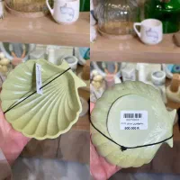 ستاره دریایی