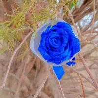 گل های رنگی|گل مصنوعی|سمنان, |دیوار