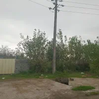 زمین روستایی 300 متری نبش آسفالت قابلیت ساخت|فروش زمین و ملک کلنگی|لنگرود, |دیوار