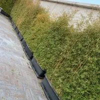 کلیه خدمات باغبانی ،طراحی و اجرا گل و نهال