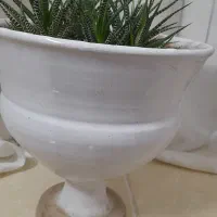 گل سبز|گل و گیاه طبیعی|مرند, |دیوار