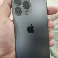 13 pro 256
