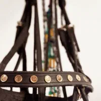 فروشگاه لوازم سوارکاری|اسب و تجهیزات اسب‌سواری|دزفول, |دیوار