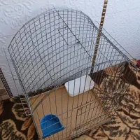 قفس پرنده عروس هلندی وسره بفروش میرسد