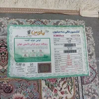 فرش 6متری پاتریس|فرش|تهران, تختی|دیوار