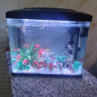 آکواریم مکانیزه کامل به همراه ماهی