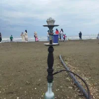 قلیون طعم دوسیب نعنا|کلکسیون و سرگرمی|قزوین, |دیوار