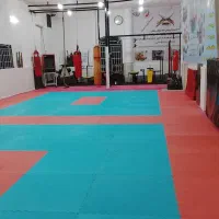 باشگاه رزمی ورزشی رشته کیو کوشین کاراته