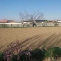 فروش ۷۰۰ متری در تهران دشت سعید آباد کردان جنوبی|فروش دفتر صنعتی، کشاورزی، تجاری|هشتگرد, تهران دشت|دیوار