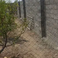 باغچه ۲۴۲ متری با سهم آب و درختان ۷ ساله مثمر