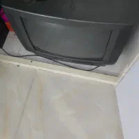 تلوزیون|تلویزیون و پروژکتور|کاشان, زیدی|دیوار