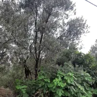 مشارکت-ساخت-در-زمین-مسکونی