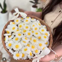 هدیه زیبا مدارس|صنایع دستی و سایر لوازم تزئینی|تهران, ائمه اطهار|دیوار
