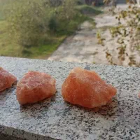 محیط زندگی و بدنتو با اینا پاکسازی کن|عمده‌فروشی|رشت, کاکتوس|دیوار