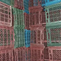 سبد گوجه‌ای