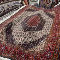 ماهی گل ابریشم اکبند ۶ متر