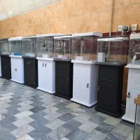 اکواریوم شرکتی