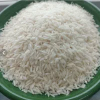 برنج هاشمی اصل استانه