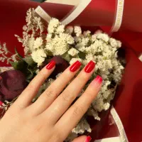 کاشت ناخن ۲۵۰|خدمات آرایشگری و زیبایی|رشت, معلم|دیوار