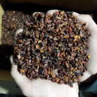 زرشک قرمز و زغال اخته خشک