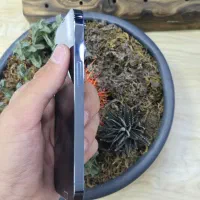 اپل iPhone 13 Pro با حافظهٔ ۲۵۶ گیگابایت|موبایل|کرج, اصفهانی‌ها|دیوار