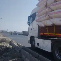 کاه گندم کردستان