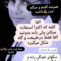 مربی سگ|خدمات پیشه و مهارت|رشت, گلسار|دیوار