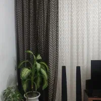 پرده|پرده، رانر، رومیزی|کرمانشاه, |دیوار