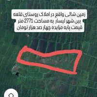 اطلاعیه فروش مزایده ای زمین، باغ کیوی و شالیزار|فروش زمین و ملک کلنگی|لیسار, |دیوار