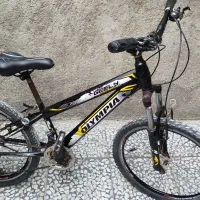 دوچرخه المپیا 24