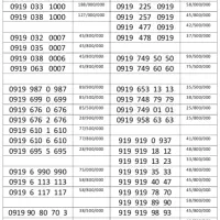 0910.6300.206