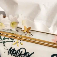 ظرف  چربی زدا و لک بر