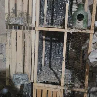 ۲ عدد قفس جفتگاه|لوازم جانبی حیوانات|گناباد, |دیوار