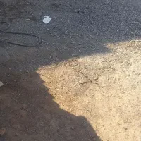 215-متر-زمین-روبروی-لنگرود