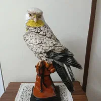 خردکن|خردکن، آسیاب، غذاساز|تهران, نبی اکرم|دیوار