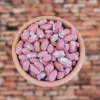 فروش محصولات خشکبار|خوردنی و آشامیدنی|کرج, شهرک فهمیده|دیوار