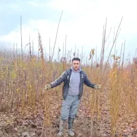 کار در منزل ویژه بانوان(کار با گوشی)