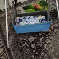 گهواره بچه سالم