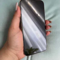 ۱۲ پرومکس ۲۵۶ گلد پک اصلی ایفن|موبایل|بجنورد, |دیوار